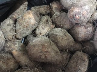 1、芋头焖饭,芋头一些