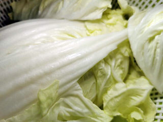 6、部队火锅,半颗白菜咱家只取菜叶