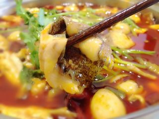 11、火锅鱼,好吃的鱼片