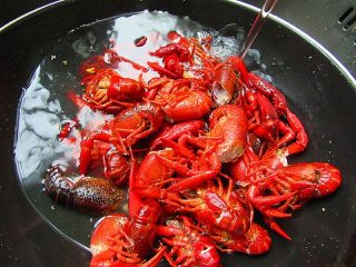 3、麻辣啤酒小龙虾,烧开水，倒入小龙虾焯水半分钟，不要时间长