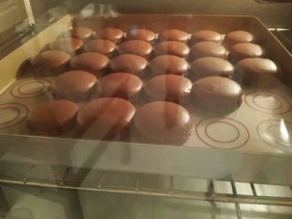 11、法式法芙娜可可马卡龙,然后再200度烤20分钟左右,10分钟左右的时候会出现裙边。