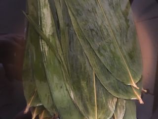 1、红枣粽子,干粽叶提前一天晚上泡水中，第二天备用