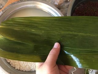 5、红枣粽子,前一天晚上准备好，第二天一早就可以包了，粽叶取两到三片，大的两片，小的三片，如图排好，剪掉头部的硬梗儿，尾部重合