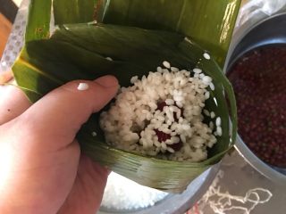 7、红枣粽子,放入糯米和红枣，不要放太多，抄点水到米里，放好糯米馅料后，将开口处剩余粽叶部分捏紧扣好包裹严不漏米，然后就可以五花大绑了