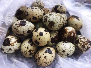 2、香菇鹌鹑蛋,准备新鲜的鹌鹑蛋