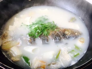 7、鲫鱼豆腐汤,放入少许的芫荽提香(因为家中没有芫荽,用其它蔬菜代替了)。