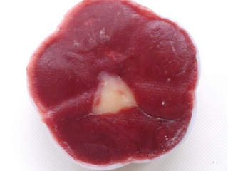 11、花式冰皮月饼, 先说一下与饼体不同的单色花的做法。将紫红色面团揪一小块,填满花片后,安装到弹簧模具上