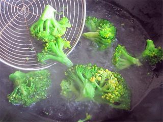 10、小熊奶酪包饭趣味便当,西兰花焯烫，锅内要滴几滴油撒点盐