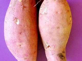 1、香炸红薯丸子,选择红薯有讲究，亲们在选择红薯的时候一定要选择水分少的红薯，一般黄瓤的红薯比较干一些，容易握成团。