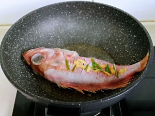 7、#年年有鱼#红烧红石斑,起油锅,加入腌制好的鱼,两面煎各煎2分钟。(油烧热再放鱼)