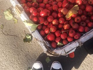 1、口感超细腻的山楂果酱,采买新鲜的山楂，如果可以一定自己挑选个头大一些的，相信我，这会让你后面的工作方便很多！