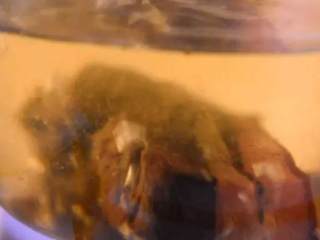 1、换个方法吃腊肉——干锅腊肉茶树菇,腊肉洗净,沸水下锅,煮30分钟