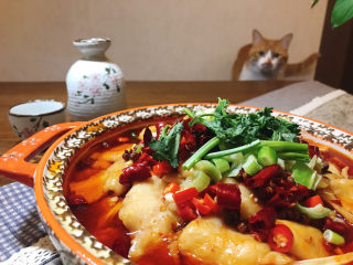 16、水煮龙利鱼,哈哈！我家咪咪已经急不可耐了。