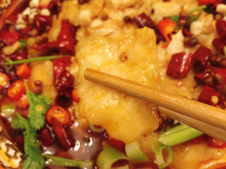 17、水煮龙利鱼,没有刺的鱼肉吃起来真的太爽了！