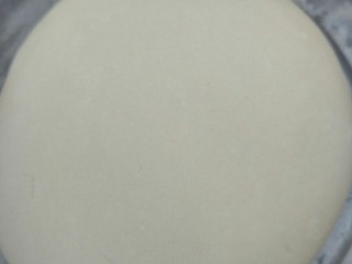 5、#咸味#＋牛肉罩饼,用温水和面，和好以后发酵一个小时