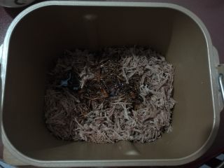 9、自制牛肉松,倒入面包机桶内,开启肉松程序。