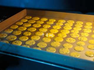 11、黑芝麻鸡蛋瓦片饼干 根本停不下来的宝宝零食,烤箱提前预热180度，在蛋糊搅拌好的时候就可以开始预热烤箱了，烤箱预热好了烤盘也挤满了。放中层，上下火180度烤制。