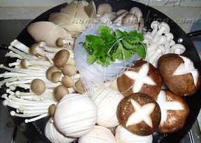 5、杂菌荟火锅,放入各种菌菇，放入粉丝和香菜即可