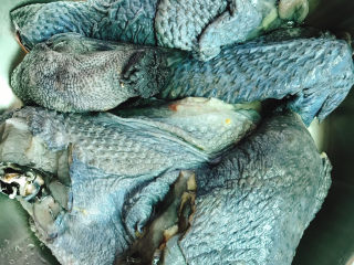 1、银耳元肉乌鸡汤,乌鸡冲洗干净