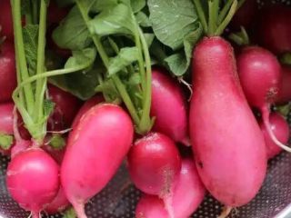 2、【下饭菜】腌菜集锦,洗净切片，薄片