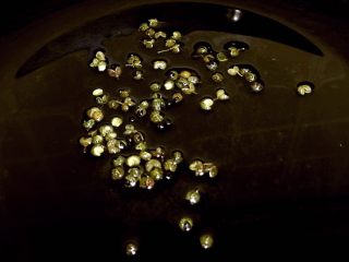 6、麻婆豆腐,炒锅倒入适量植物油，放入麻椒，小火炸香。