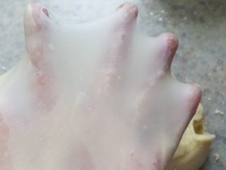 4、大理石纹豆沙吐司,4.揉至面团的完全扩展阶段，可以拉出薄有弹性的膜，放入冰箱冷冻30分钟。