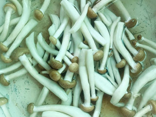 6、芦笋炒肉片,冲洗干净后放入开水锅中，加入少许盐，焯水3分钟