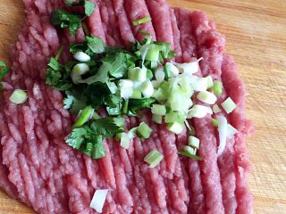 4、手工白丸子,肉剁成肉糜(比饺子馅还要碎),加入切好的蒜末和香菜