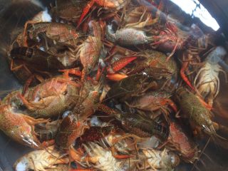 1、湖北油焖大虾,新鲜小龙虾剥掉虾壳，抽取筋，用毛刷清理干净，清水浸泡备用