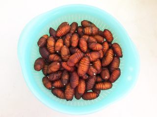4、美味小零食  香酥开边蚕蛹,鲜活的蚕蛹清洗干净