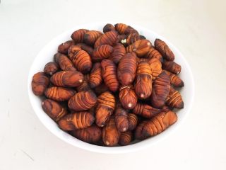 8、美味小零食  香酥开边蚕蛹,把煮好的蚕蛹捞出来沥干水份