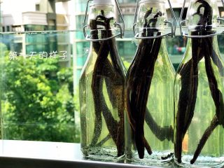 20、省钱自制《香草精》,美啊！