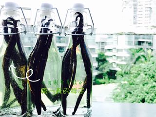 21、省钱自制《香草精》,期待一周后！