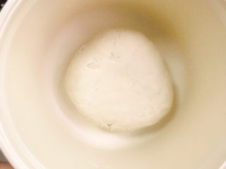 5、广式叉烧包,揉成光滑的面团，盖上盖子，放到温暖的地方进行发酵