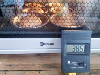 8、番茄咸肉面包,面团放入烤箱，选择发酵程序，实测温度38.5℃，时间35分钟