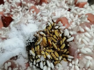 9、娃娃们喜欢吃的鲜肉火腿红枣粽子,加酿造酱油