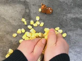 2、网红米饭,新鲜的玉米粒 