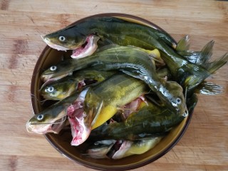 1、简易版飘香黄骨鱼,黄骨鱼（昂刺，汪刺鱼）去内脏清洗干净。买鱼不要买抹一下一手黄的那种，喂了一种色素，买自然色浅的