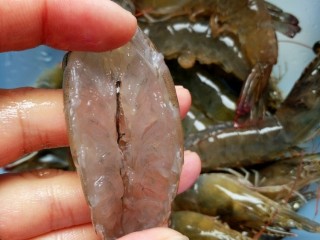 2、蒜蓉蒸大虾,鲜活的虾趁新鲜开背，去除虾线，过一遍清水备用