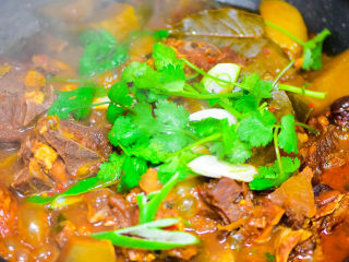 15、风干羊肉火锅,萝卜熟后，放盐调味，放香菜，葱段。完成。