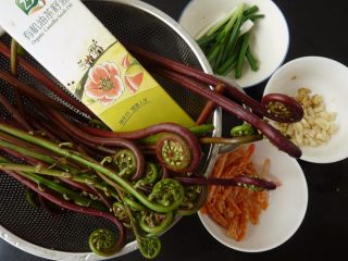 1、虾干炒蕨菜,各材料,虾干稍泡一下水