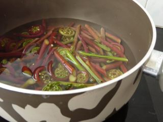 3、虾干炒蕨菜,烧沸一锅水,下蕨菜煮3分钟左右,捞起