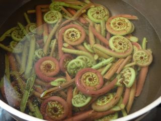 4、虾干炒蕨菜,蕨菜用清水泡1小时