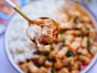 19、红烧豆腐盖饭,来吃一口！