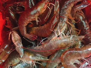 1、白灼大虾,买虾回家