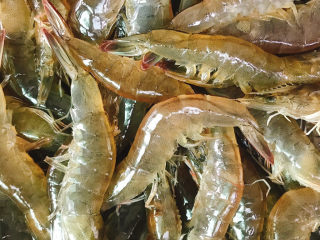 4、白灼大虾,再冲洗干净，沥干水份