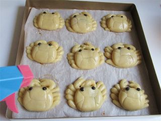 10、教你不用模具也可自制纯手工DIY月饼,螃蟹月饼全部压好放入烤盘。烤箱200度预热，上下200度、中层烤。月饼表面喷微量水