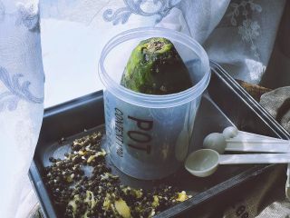 13、木瓜椰奶冻,盖上盖子冷藏一晚即可