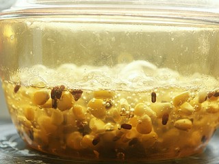 9、赤小豆玉米青豆饭,用大火煮开后再转小火煮30分钟，熄火待用；