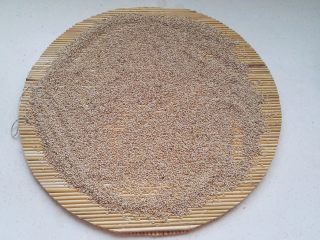 2、鸡内金焦馍（驻马店传统美食）,赶快倒在锅拍上（或案板上）扒开晾凉。